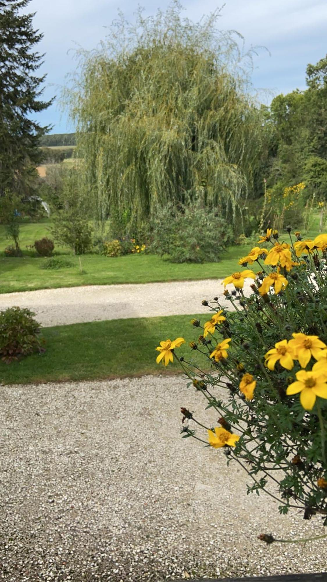 Pivoine Chambre D Hotes Fralignes Εξωτερικό φωτογραφία