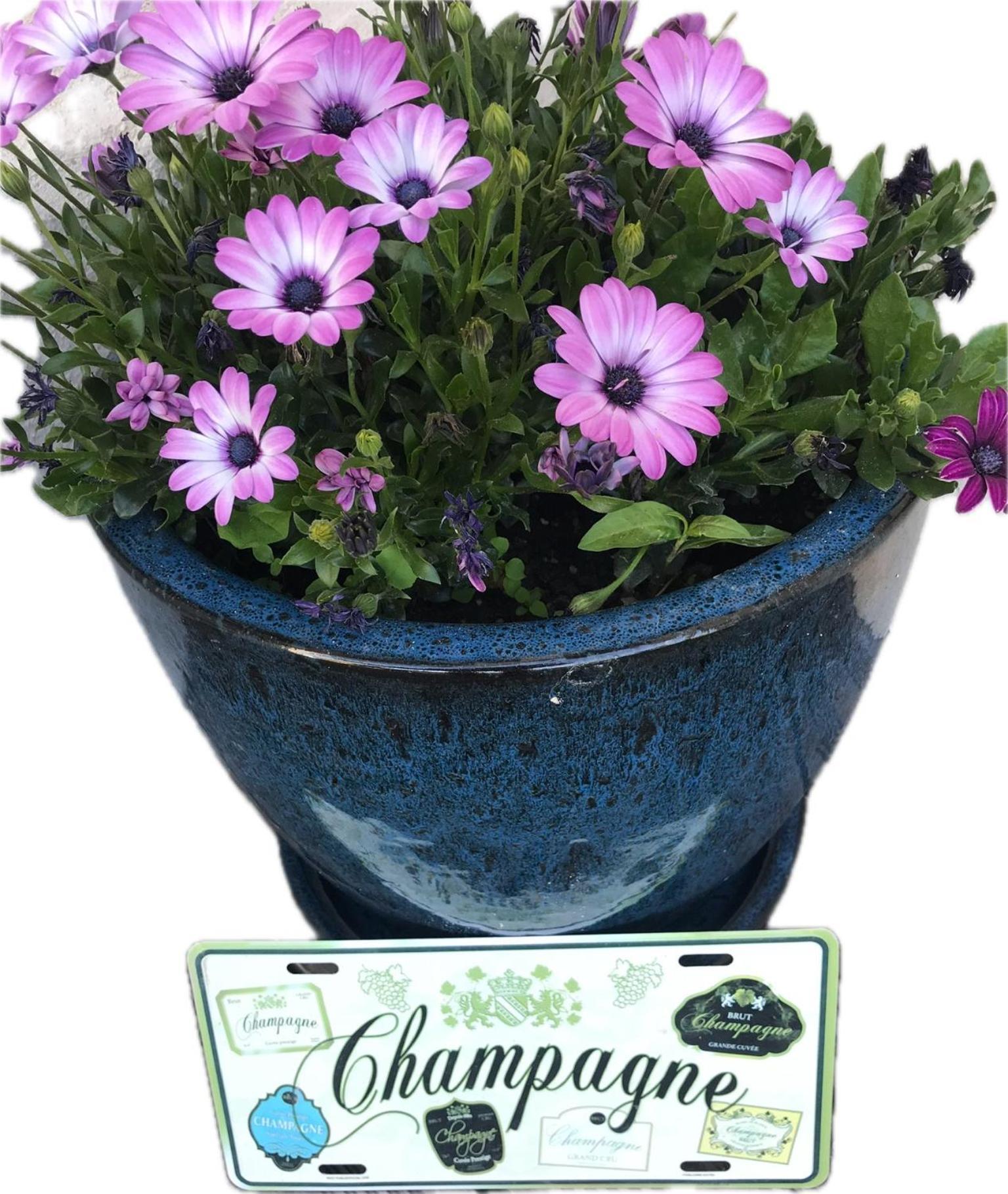 Pivoine Chambre D Hotes Fralignes Εξωτερικό φωτογραφία