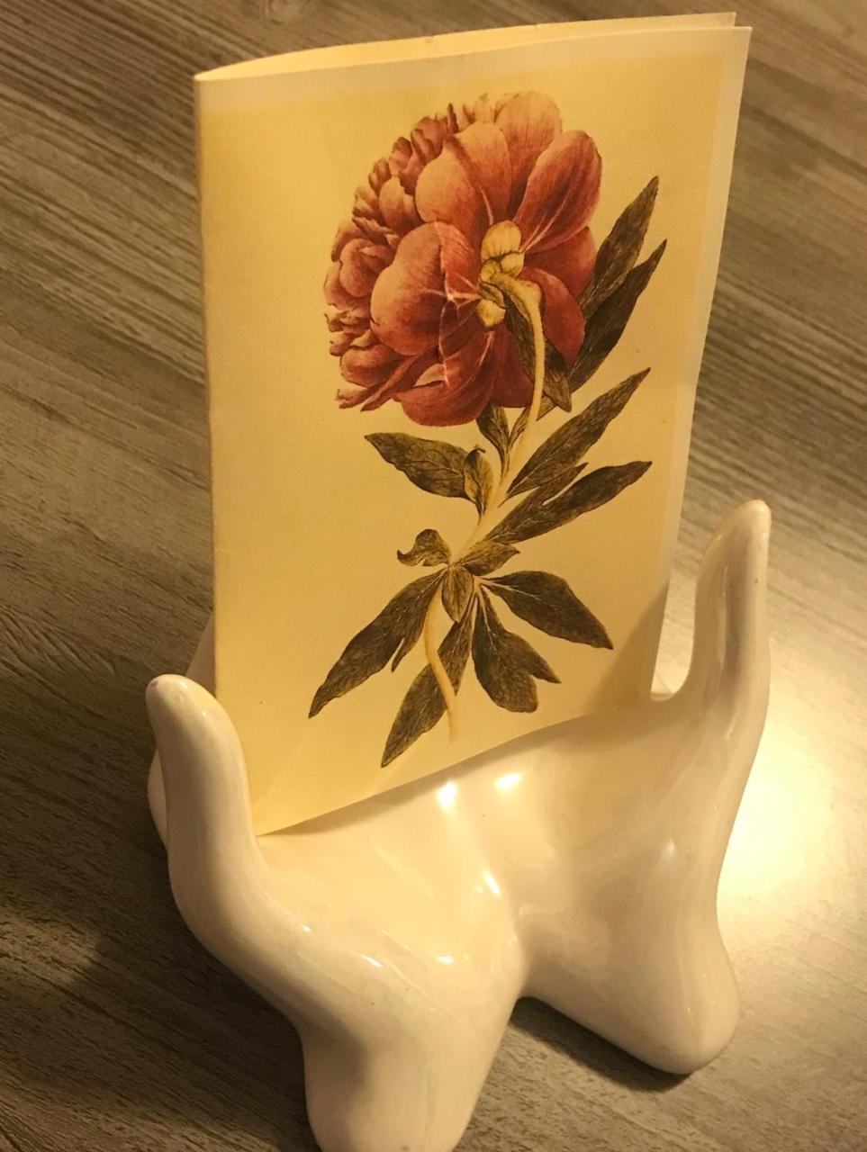 Pivoine Chambre D Hotes Fralignes Εξωτερικό φωτογραφία